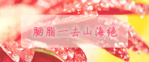 s5.png